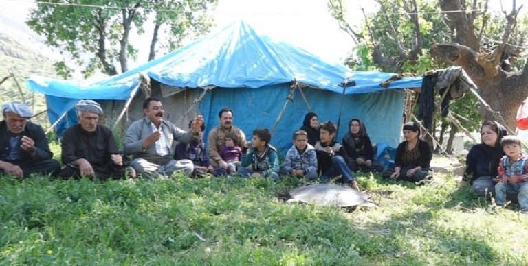 La vie communale dans les hauts pâturages de Qandil