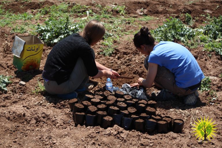 Rendre le Rojava vert à nouveau