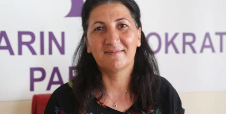 La candidate du HDP, Hasbay : Les femmes ont une maison au sein du HDP