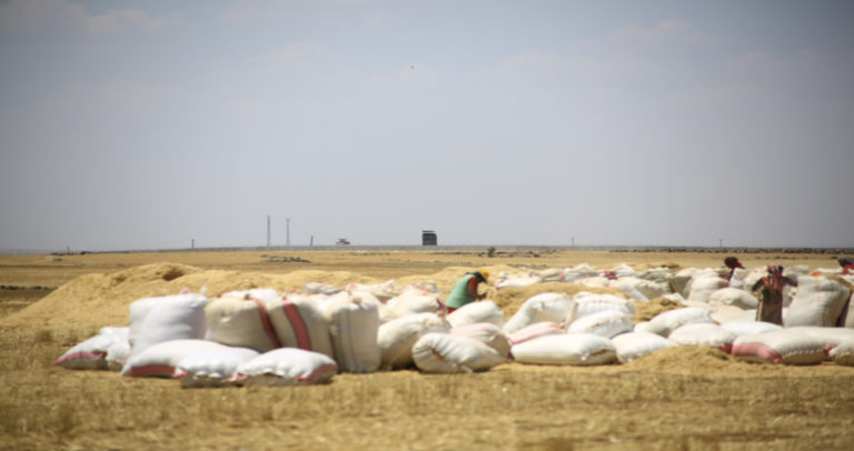 Syrie du Nord, la Turquie cible les agriculteurs des zones frontalières