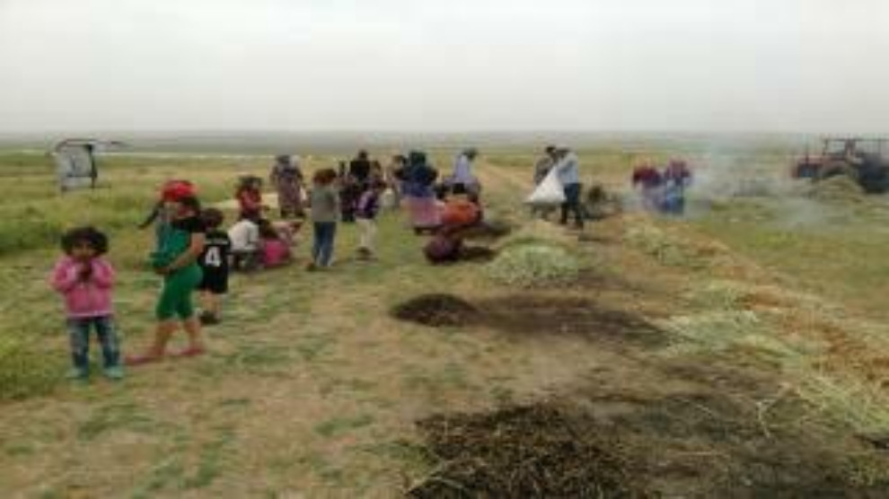 ROJAVA. Dans ce village, on vit de manière communale ! – Kurdistan au ...