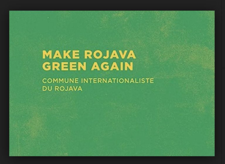 Sortie en français du livre « Make Rojava Green Again »