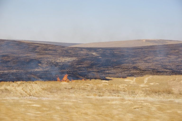 Les feux criminels à Kobanê et dans le nord de la Syrie visent l’unité des peuples