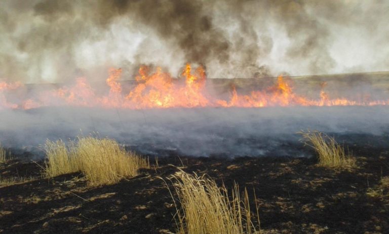 Incendies dévastateurs : la Turquie aide l’Etat islamique à terroriser le Kurdistan