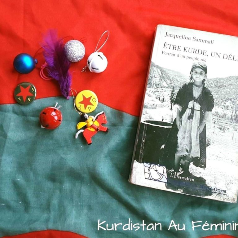 Kurdistan au féminin censuré sur le plus grand réseau social du monde