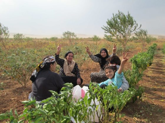 ROJAVA. JINWAR, le village des femmes libres en images – Kurdistan au ...
