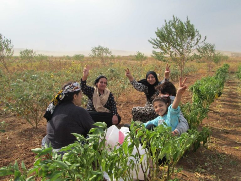 C. Morel Darleux: Après avoir combattu Daech, le Rojava a besoin de notre solidarité