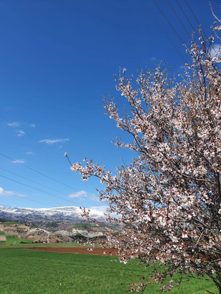 Le Kurdistan accueille le printemps