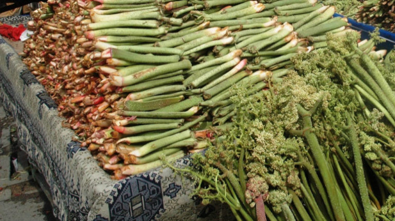 Les légumes sauvages des montagnes kurdes en temps de pauvreté et du COVID-19