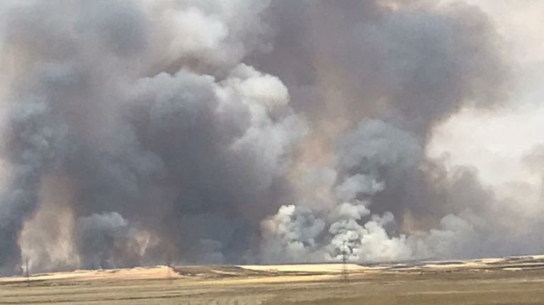 ROJAVA. Les champs de blé de Tal Tamr incendiés par la Turquie