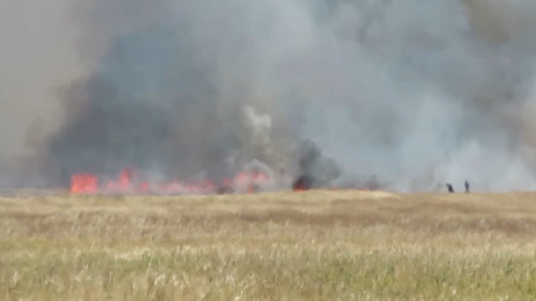 Les agriculteurs de Rojava victimes de dommages importants provoqués par la Turquie