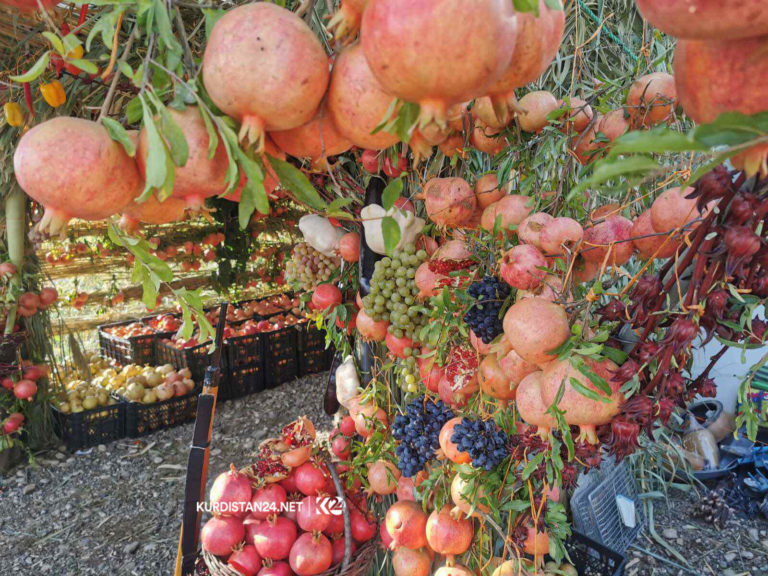 Halabja accueille la sixième fête de l’agriculture