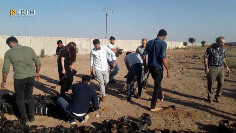 ROJAVA. Campagne de plantation de 4 millions d’arbres à Qamishlo contre la désertification