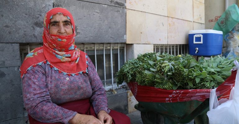 TURQUIE. Devenue réfugiée dans son propre pays, une femme kurde vend des plantes dans la rue après l’incendie de son village