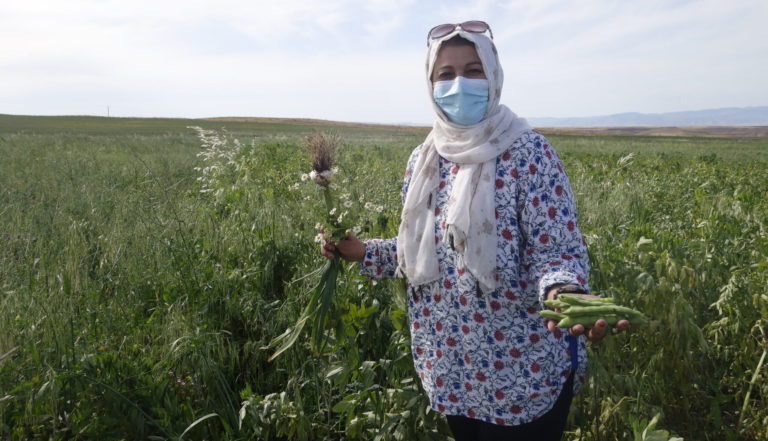 ROJAVA. Le village agricole des femmes à Derîk