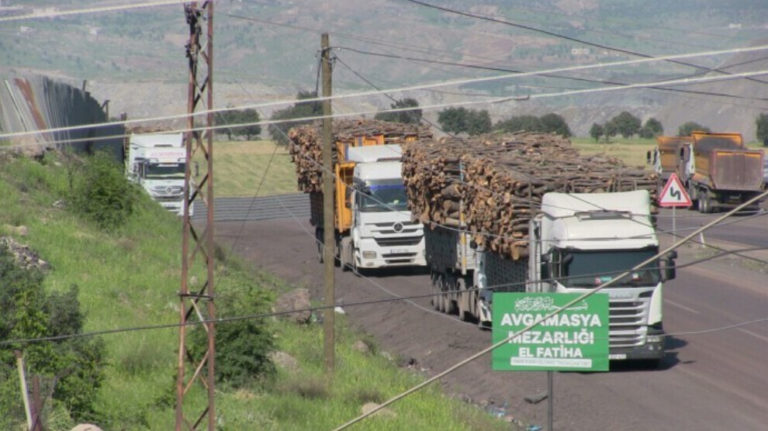 ÉCOCIDE. L’armée turque abat les arbres à Cûdî et Besta, dans la province kurde de Sirnak