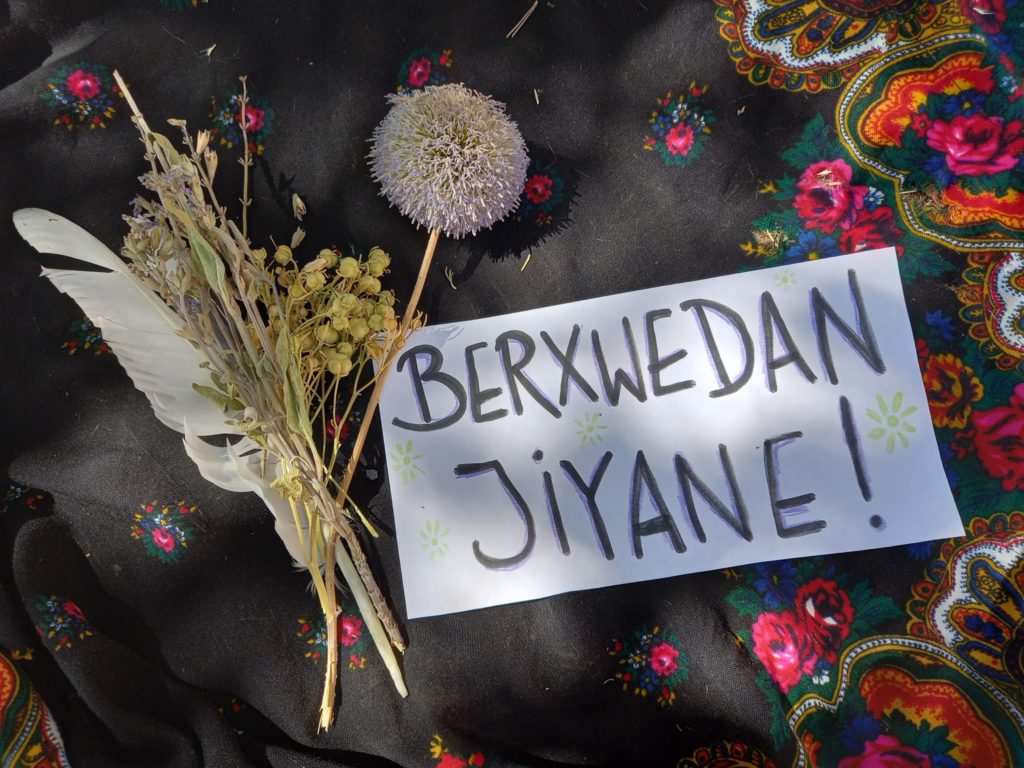 ROJAVA. JINWAR, le village des femmes libres en images – Kurdistan au ...