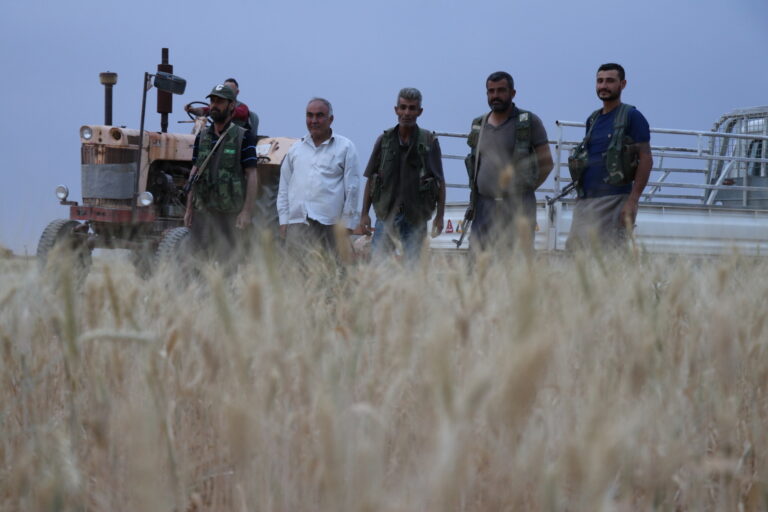 ROJAVA. La population mobilisée pour protéger les champs de blé et d’orge