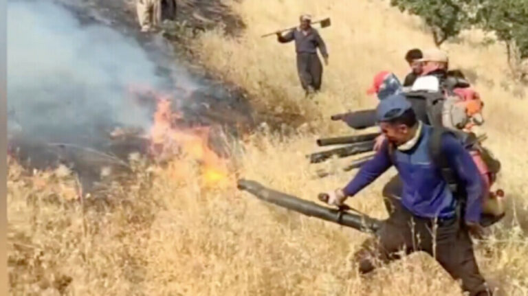 IRAN. Appel à la mobilisation face aux feux des forêts du Kurdistan brûlés par le régime iranien