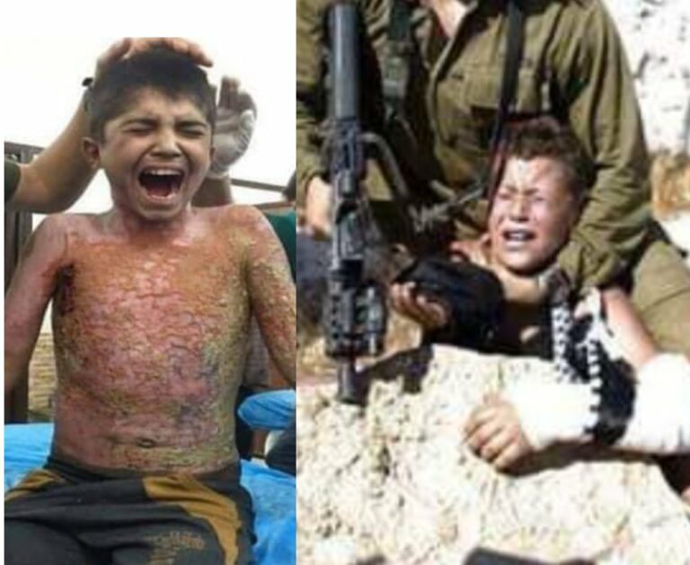 « Les questions kurde et palestinienne sont un teste pour l’humanité »