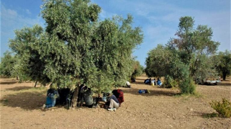 SYRIE. L’État turc a de nouveau ciblé les civils au Rojava