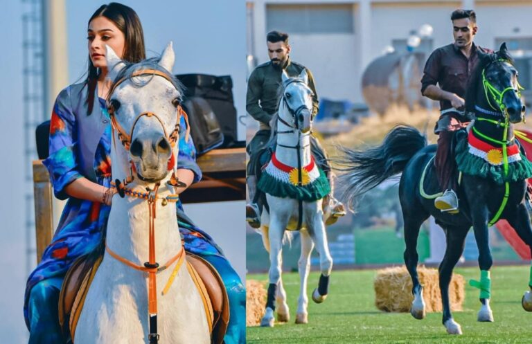 KURDISTAN. Sulaymaniah accueille le premier festival du cheval kurde