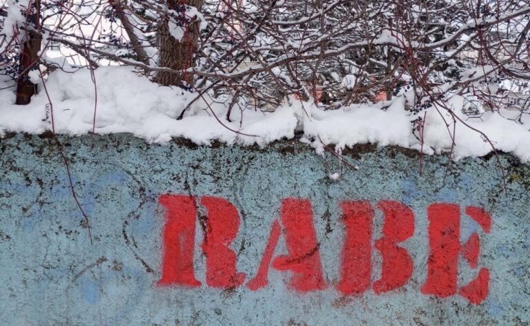 TURQUIE. Des activistes kurdes mènent l’opération « debout »