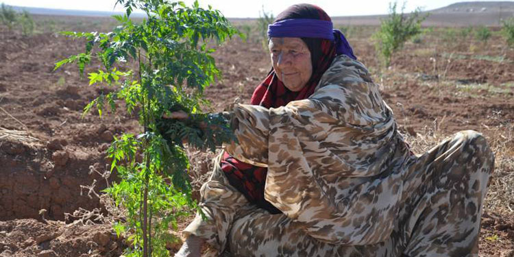 SYRIE. Écologie versus écocide, le Rojava mobilisé pour préserver la nature