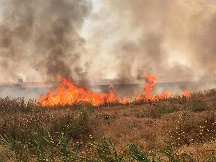 Le Rojava menacé de famine par les feux dévorant les champs de céréales