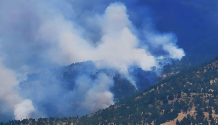 KURDISTAN. Des feux ravagent les montagnes de Duhok à cause des bombardements turcs