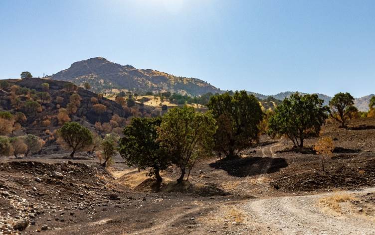 KURDISTAN. « L’armée turque a détruit un cimetière vieux de plusieurs siècles »