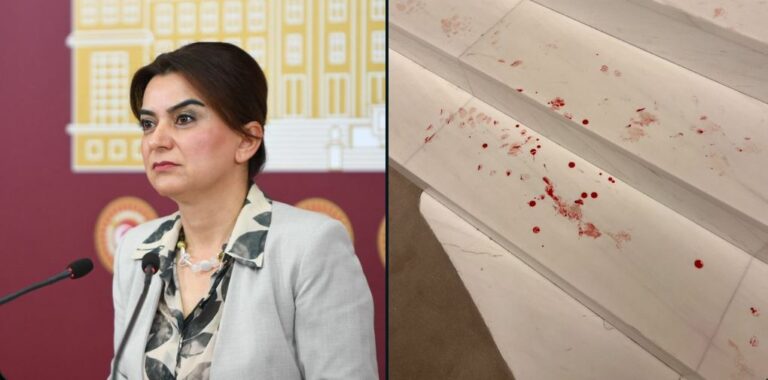 TURQUIE. Un député d’Erdogan blesse une députée kurde à l’Assemblée