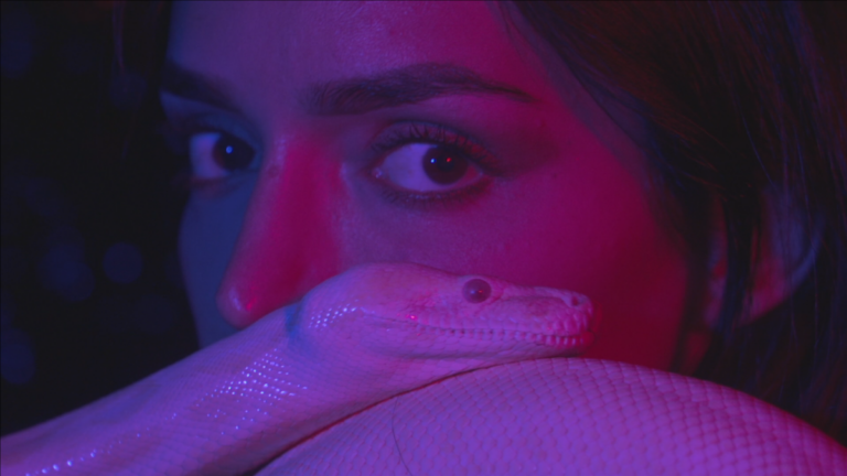 Pot commun pour un festival de films LGBT+ organisé par l’association Shahmaran