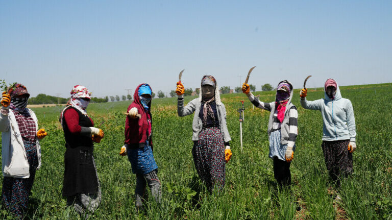 TURQUIE. Les travailleuses agricoles exploitées sous une chaleur de 45 degrés