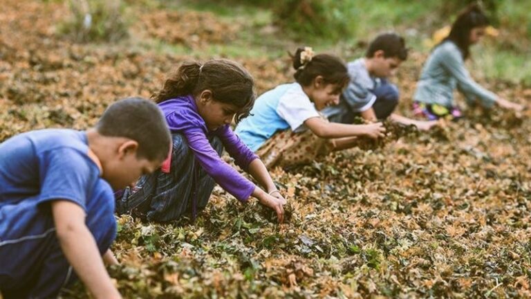 TURQUIE. L’enfance volée des fillettes