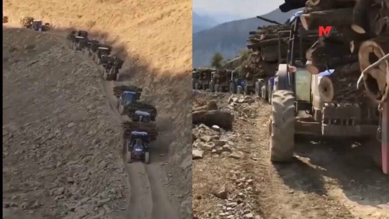 La Turquie a intensifié ses activités de pillage et de destruction au Kurdistan