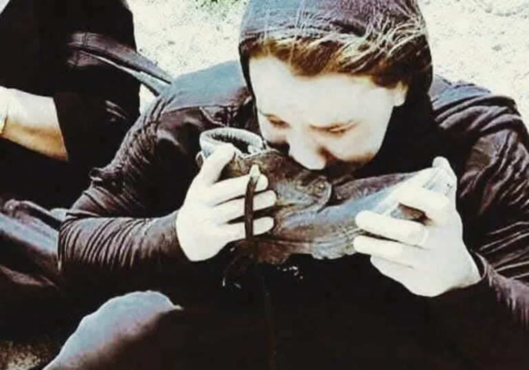 La complainte kurde : Roboskî