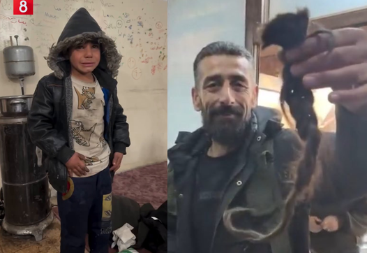 ROJAVA. Faux cessez-le-feu, vrais massacres