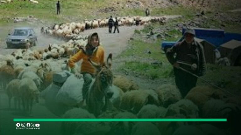 IRAN. La guerre chasse les éleveurs de la campagne de Kirmaşan