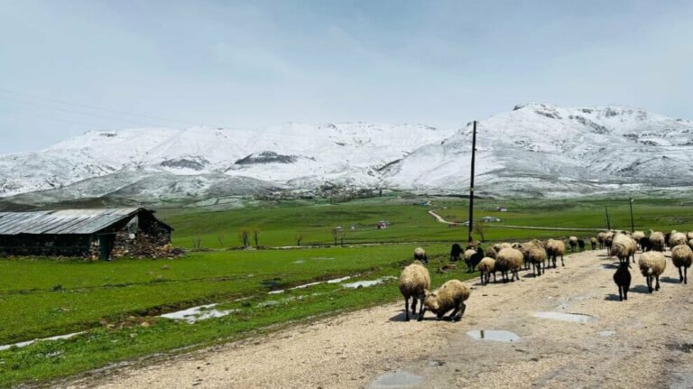 KURDISTAN. Résister au second déplacement : défendre l’eau et la terre