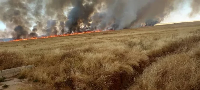 ROJAVA. L&rsquo;armée turque provoque des incendies de champs à Zigran