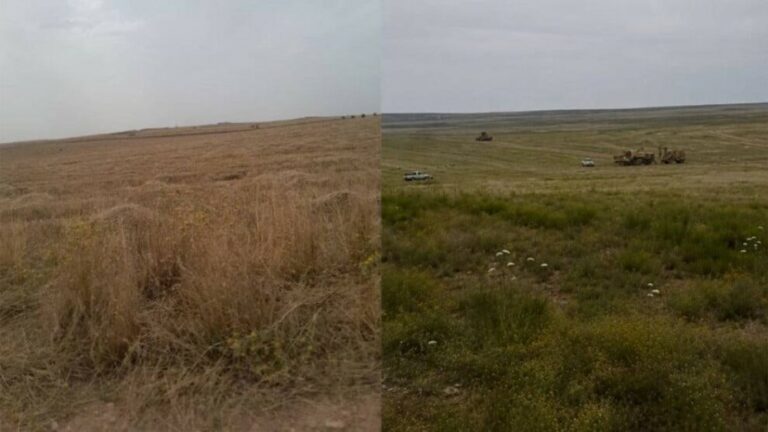 ROJAVA. Des gangs pro-turcs pillent les terres des Kurdes déplacés de Serêkaniyê