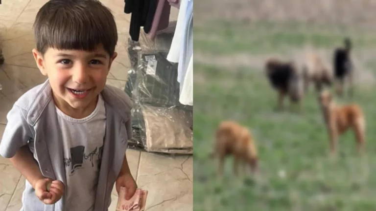 TURQUIE. Un enfant kurde tué par des chiens de l&rsquo;armée turque ?