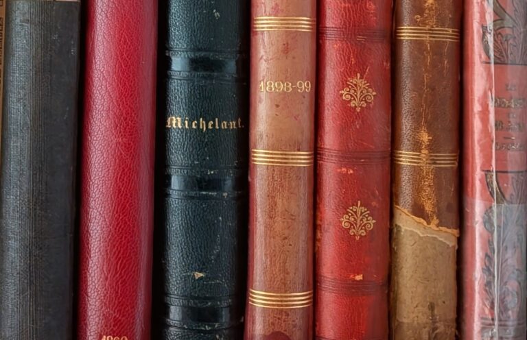 Les études kurdes : une discipline orpheline