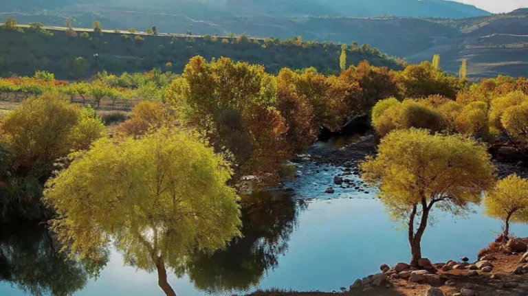 TURQUIE. Zorava : La vallée qui résiste aux centrales hydroélectriques
