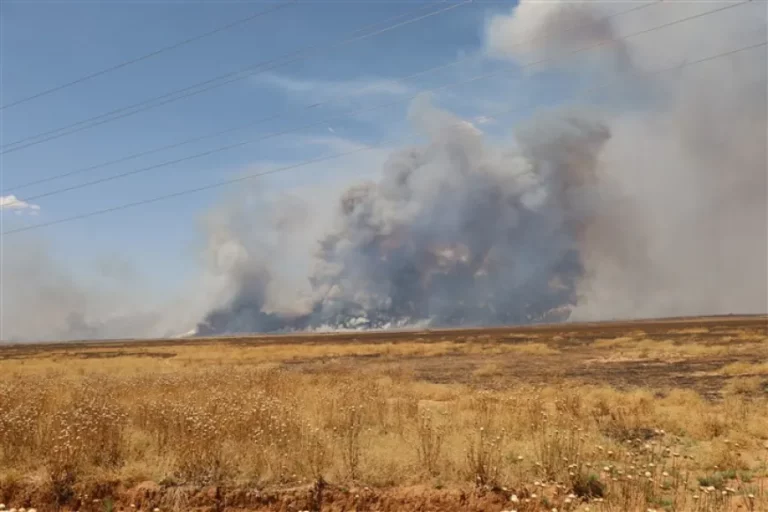 ROJAVA. Les forces coloniales turques provoquent un incendie à Tal Tamr
