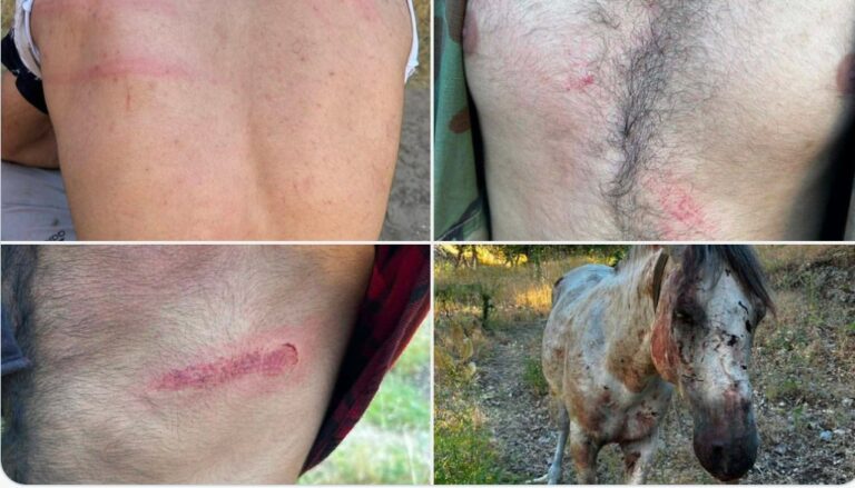 KURDISTAN. Barbarie de l&rsquo;armée coloniale turque à Şeladizê